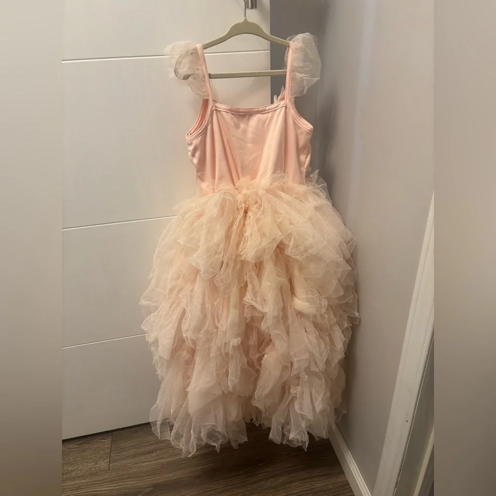 Monique Lhuillier Pottery Barn Kids Blush Fairy Costume Size 8
